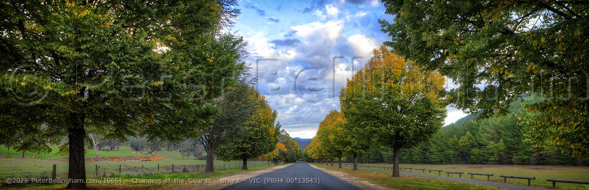 Peter Bellingham Photography Changing of the Guards - Bright - VIC (PBH4 00 13543)